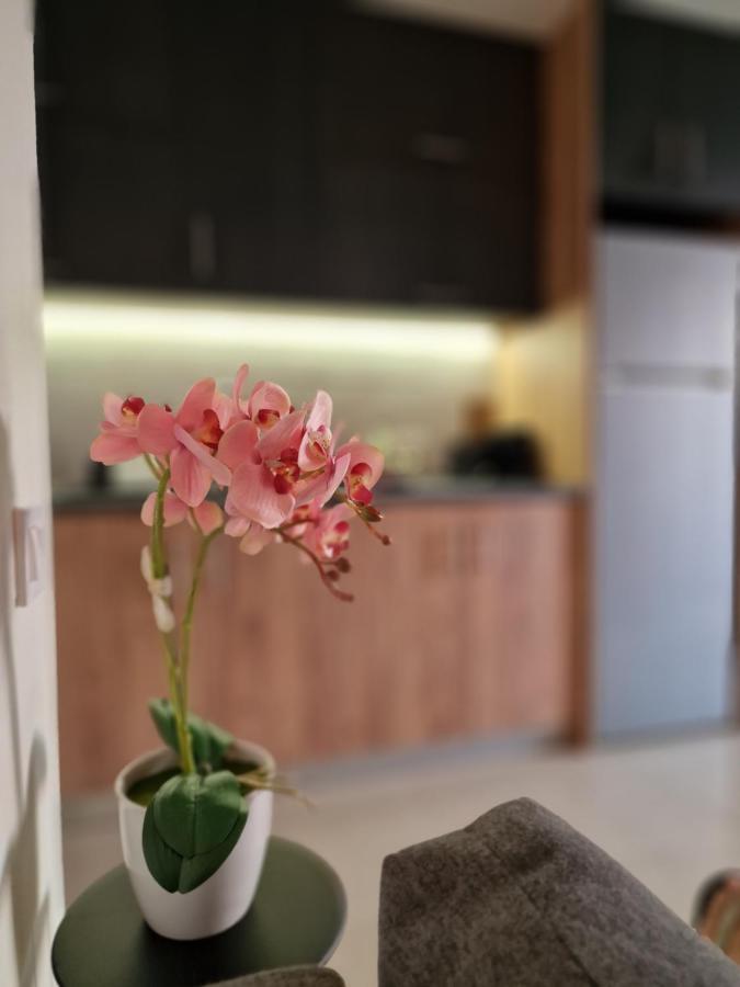 S N G/ Best View Apartment Kissamos Ngoại thất bức ảnh